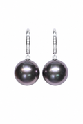 18K White Gold Diamond-Set 11.7mm Tahitian Black Pearl Earrings